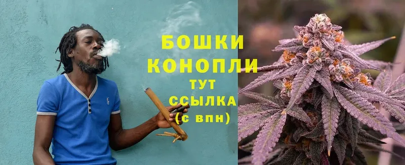 Конопля OG Kush  где продают наркотики  Новочеркасск 